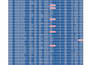 clean, format and organize your excel data professionally